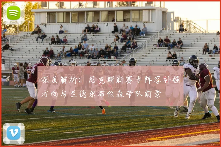 深度解析：尼克斯新赛季阵容补强方向与兰德尔布伦森带队前景